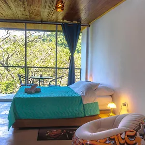  Auberge de jeunesse Pistacho Colombie